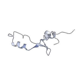 21641_6wdm_E_v1-3
Cryo-EM of elongating ribosome with EF-Tu*GTP elucidates tRNA proofreading (Non-cognate Structure V-B2)