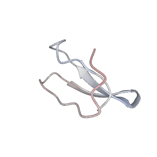 21641_6wdm_F_v1-3
Cryo-EM of elongating ribosome with EF-Tu*GTP elucidates tRNA proofreading (Non-cognate Structure V-B2)