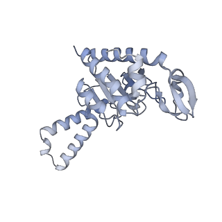 21641_6wdm_G_v1-2
Cryo-EM of elongating ribosome with EF-Tu*GTP elucidates tRNA proofreading (Non-cognate Structure V-B2)