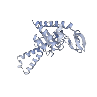 21641_6wdm_G_v1-3
Cryo-EM of elongating ribosome with EF-Tu*GTP elucidates tRNA proofreading (Non-cognate Structure V-B2)