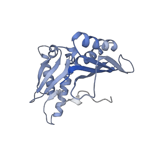 21641_6wdm_H_v1-2
Cryo-EM of elongating ribosome with EF-Tu*GTP elucidates tRNA proofreading (Non-cognate Structure V-B2)