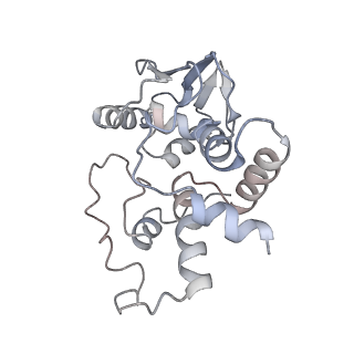 21641_6wdm_I_v1-2
Cryo-EM of elongating ribosome with EF-Tu*GTP elucidates tRNA proofreading (Non-cognate Structure V-B2)
