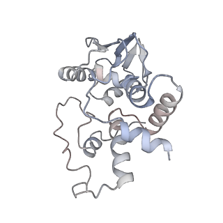 21641_6wdm_I_v1-3
Cryo-EM of elongating ribosome with EF-Tu*GTP elucidates tRNA proofreading (Non-cognate Structure V-B2)