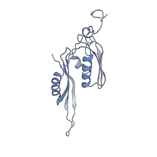 21641_6wdm_J_v1-2
Cryo-EM of elongating ribosome with EF-Tu*GTP elucidates tRNA proofreading (Non-cognate Structure V-B2)
