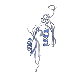 21641_6wdm_J_v1-3
Cryo-EM of elongating ribosome with EF-Tu*GTP elucidates tRNA proofreading (Non-cognate Structure V-B2)