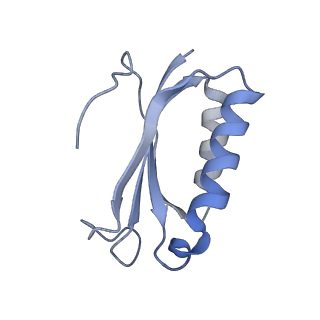 21641_6wdm_K_v1-2
Cryo-EM of elongating ribosome with EF-Tu*GTP elucidates tRNA proofreading (Non-cognate Structure V-B2)