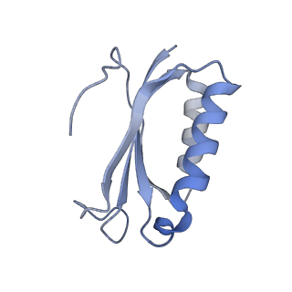 21641_6wdm_K_v1-3
Cryo-EM of elongating ribosome with EF-Tu*GTP elucidates tRNA proofreading (Non-cognate Structure V-B2)