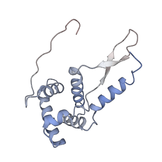 21641_6wdm_L_v1-2
Cryo-EM of elongating ribosome with EF-Tu*GTP elucidates tRNA proofreading (Non-cognate Structure V-B2)