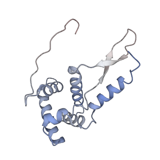 21641_6wdm_L_v1-3
Cryo-EM of elongating ribosome with EF-Tu*GTP elucidates tRNA proofreading (Non-cognate Structure V-B2)