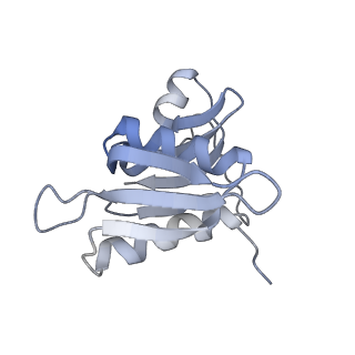 21641_6wdm_M_v1-2
Cryo-EM of elongating ribosome with EF-Tu*GTP elucidates tRNA proofreading (Non-cognate Structure V-B2)