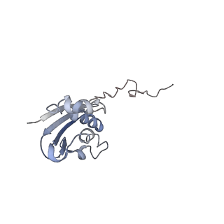 21641_6wdm_N_v1-2
Cryo-EM of elongating ribosome with EF-Tu*GTP elucidates tRNA proofreading (Non-cognate Structure V-B2)