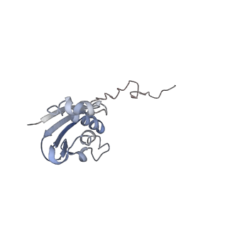 21641_6wdm_N_v1-3
Cryo-EM of elongating ribosome with EF-Tu*GTP elucidates tRNA proofreading (Non-cognate Structure V-B2)