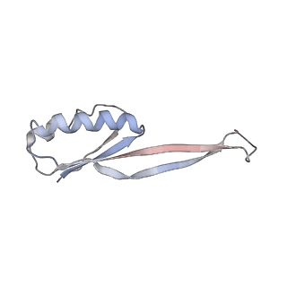 21641_6wdm_O_v1-3
Cryo-EM of elongating ribosome with EF-Tu*GTP elucidates tRNA proofreading (Non-cognate Structure V-B2)