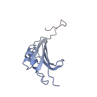 21641_6wdm_P_v1-2
Cryo-EM of elongating ribosome with EF-Tu*GTP elucidates tRNA proofreading (Non-cognate Structure V-B2)