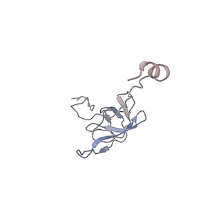 21641_6wdm_Q_v1-2
Cryo-EM of elongating ribosome with EF-Tu*GTP elucidates tRNA proofreading (Non-cognate Structure V-B2)