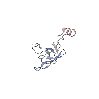 21641_6wdm_Q_v1-3
Cryo-EM of elongating ribosome with EF-Tu*GTP elucidates tRNA proofreading (Non-cognate Structure V-B2)