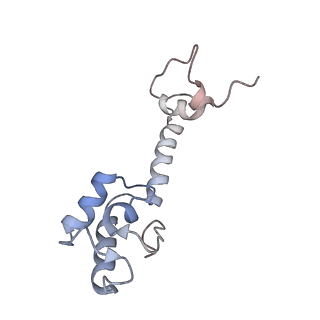 21641_6wdm_R_v1-2
Cryo-EM of elongating ribosome with EF-Tu*GTP elucidates tRNA proofreading (Non-cognate Structure V-B2)