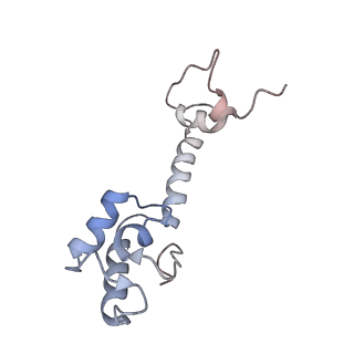 21641_6wdm_R_v1-3
Cryo-EM of elongating ribosome with EF-Tu*GTP elucidates tRNA proofreading (Non-cognate Structure V-B2)