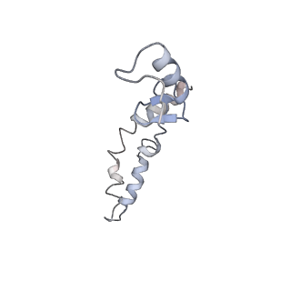 21641_6wdm_S_v1-2
Cryo-EM of elongating ribosome with EF-Tu*GTP elucidates tRNA proofreading (Non-cognate Structure V-B2)