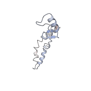 21641_6wdm_S_v1-3
Cryo-EM of elongating ribosome with EF-Tu*GTP elucidates tRNA proofreading (Non-cognate Structure V-B2)