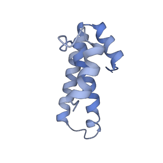 21641_6wdm_T_v1-2
Cryo-EM of elongating ribosome with EF-Tu*GTP elucidates tRNA proofreading (Non-cognate Structure V-B2)