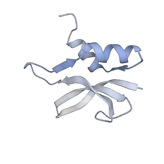 21641_6wdm_U_v1-2
Cryo-EM of elongating ribosome with EF-Tu*GTP elucidates tRNA proofreading (Non-cognate Structure V-B2)