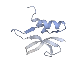 21641_6wdm_U_v1-3
Cryo-EM of elongating ribosome with EF-Tu*GTP elucidates tRNA proofreading (Non-cognate Structure V-B2)