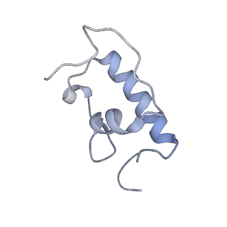 21641_6wdm_W_v1-2
Cryo-EM of elongating ribosome with EF-Tu*GTP elucidates tRNA proofreading (Non-cognate Structure V-B2)
