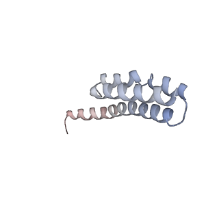 21641_6wdm_Y_v1-2
Cryo-EM of elongating ribosome with EF-Tu*GTP elucidates tRNA proofreading (Non-cognate Structure V-B2)