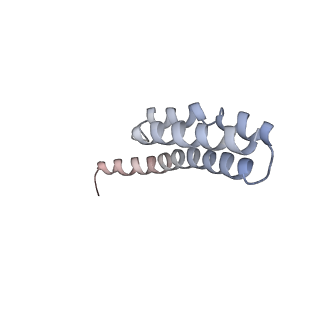 21641_6wdm_Y_v1-3
Cryo-EM of elongating ribosome with EF-Tu*GTP elucidates tRNA proofreading (Non-cognate Structure V-B2)