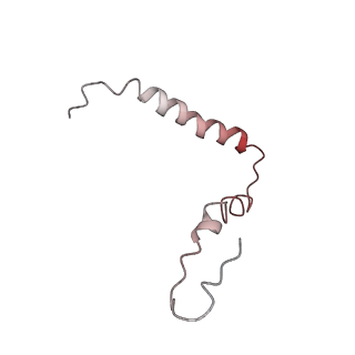21641_6wdm_Z_v1-2
Cryo-EM of elongating ribosome with EF-Tu*GTP elucidates tRNA proofreading (Non-cognate Structure V-B2)