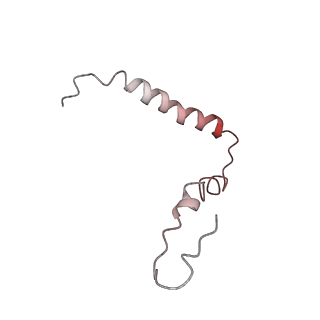 21641_6wdm_Z_v1-3
Cryo-EM of elongating ribosome with EF-Tu*GTP elucidates tRNA proofreading (Non-cognate Structure V-B2)