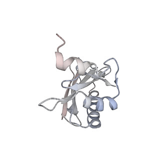 21641_6wdm_a_v1-2
Cryo-EM of elongating ribosome with EF-Tu*GTP elucidates tRNA proofreading (Non-cognate Structure V-B2)