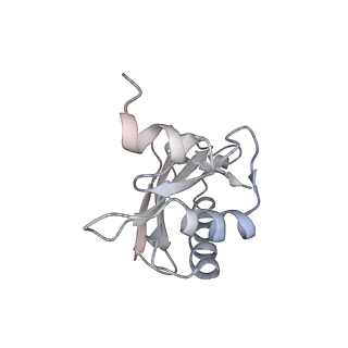 21641_6wdm_a_v1-3
Cryo-EM of elongating ribosome with EF-Tu*GTP elucidates tRNA proofreading (Non-cognate Structure V-B2)