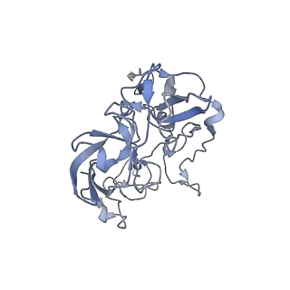 21641_6wdm_b_v1-2
Cryo-EM of elongating ribosome with EF-Tu*GTP elucidates tRNA proofreading (Non-cognate Structure V-B2)