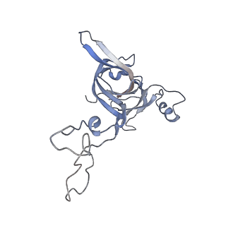 21641_6wdm_c_v1-2
Cryo-EM of elongating ribosome with EF-Tu*GTP elucidates tRNA proofreading (Non-cognate Structure V-B2)
