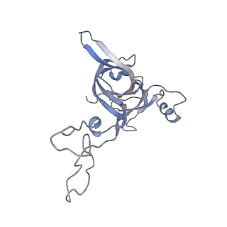 21641_6wdm_c_v1-3
Cryo-EM of elongating ribosome with EF-Tu*GTP elucidates tRNA proofreading (Non-cognate Structure V-B2)