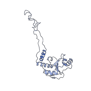 21641_6wdm_d_v1-2
Cryo-EM of elongating ribosome with EF-Tu*GTP elucidates tRNA proofreading (Non-cognate Structure V-B2)