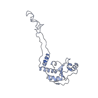 21641_6wdm_d_v1-3
Cryo-EM of elongating ribosome with EF-Tu*GTP elucidates tRNA proofreading (Non-cognate Structure V-B2)