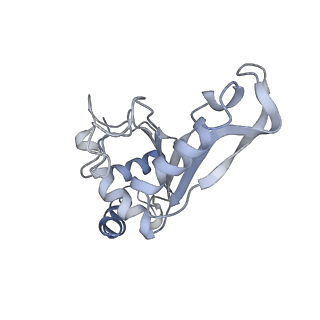 21641_6wdm_e_v1-2
Cryo-EM of elongating ribosome with EF-Tu*GTP elucidates tRNA proofreading (Non-cognate Structure V-B2)