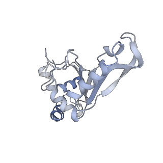 21641_6wdm_e_v1-3
Cryo-EM of elongating ribosome with EF-Tu*GTP elucidates tRNA proofreading (Non-cognate Structure V-B2)