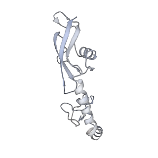 21641_6wdm_g_v1-2
Cryo-EM of elongating ribosome with EF-Tu*GTP elucidates tRNA proofreading (Non-cognate Structure V-B2)