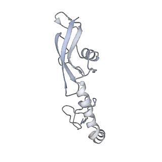 21641_6wdm_g_v1-3
Cryo-EM of elongating ribosome with EF-Tu*GTP elucidates tRNA proofreading (Non-cognate Structure V-B2)