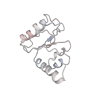 21641_6wdm_h_v1-2
Cryo-EM of elongating ribosome with EF-Tu*GTP elucidates tRNA proofreading (Non-cognate Structure V-B2)