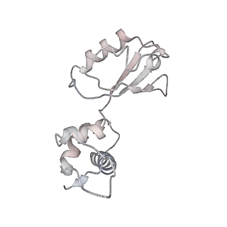 21641_6wdm_i_v1-3
Cryo-EM of elongating ribosome with EF-Tu*GTP elucidates tRNA proofreading (Non-cognate Structure V-B2)