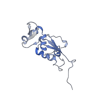 21641_6wdm_j_v1-2
Cryo-EM of elongating ribosome with EF-Tu*GTP elucidates tRNA proofreading (Non-cognate Structure V-B2)