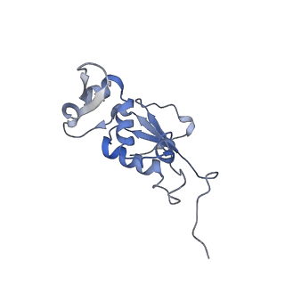 21641_6wdm_j_v1-3
Cryo-EM of elongating ribosome with EF-Tu*GTP elucidates tRNA proofreading (Non-cognate Structure V-B2)