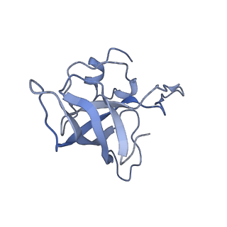 21641_6wdm_k_v1-2
Cryo-EM of elongating ribosome with EF-Tu*GTP elucidates tRNA proofreading (Non-cognate Structure V-B2)