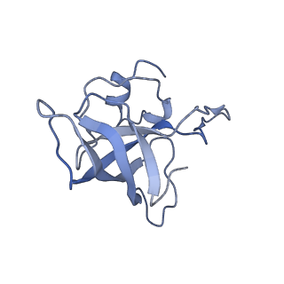 21641_6wdm_k_v1-3
Cryo-EM of elongating ribosome with EF-Tu*GTP elucidates tRNA proofreading (Non-cognate Structure V-B2)