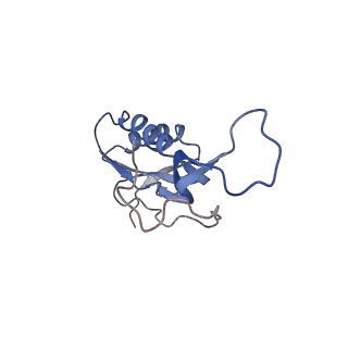 21641_6wdm_m_v1-2
Cryo-EM of elongating ribosome with EF-Tu*GTP elucidates tRNA proofreading (Non-cognate Structure V-B2)